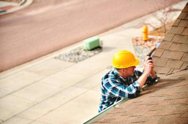 Best Roof Gutter Cleaning  in Brookhaven, MS